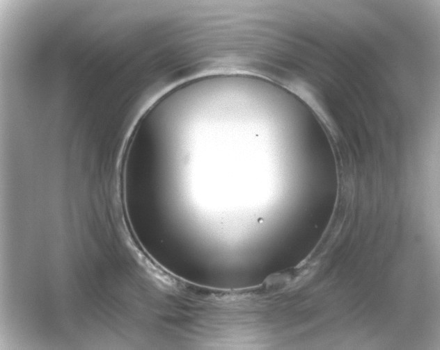 X0000065951004200603101351