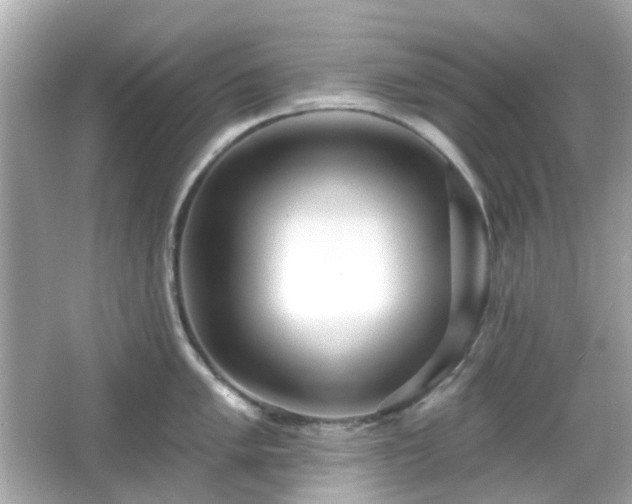 X0000065951005200603101351