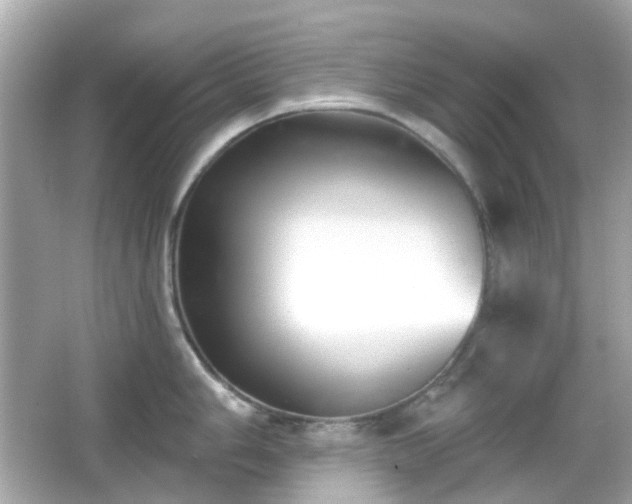 X0000065951006200603101351