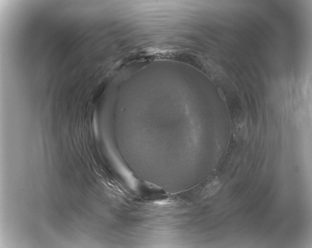X0000065951010200603101350