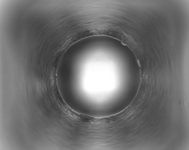X0000065951012200603101350