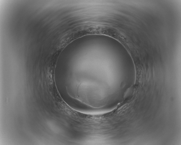 X0000065951013200603101350