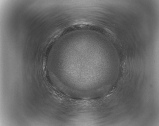 X0000065951014200603101350