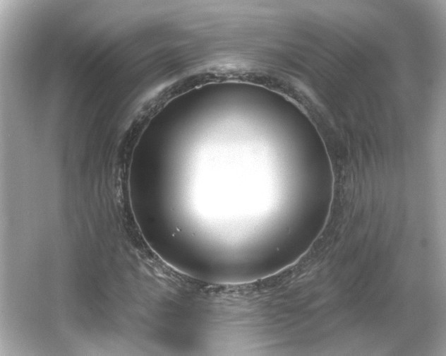 X0000065951016200603101350