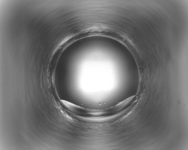 X0000065951018200603101350