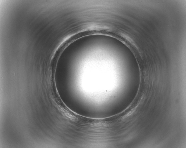 X0000065951021200603101351