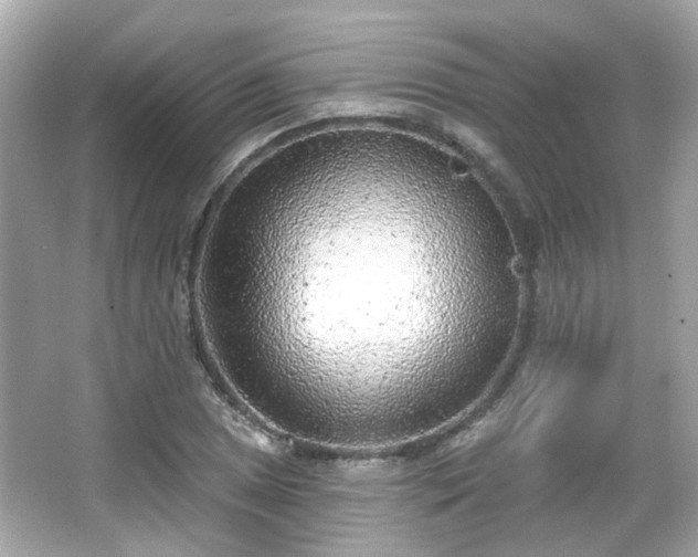 X0000065951025200603101351