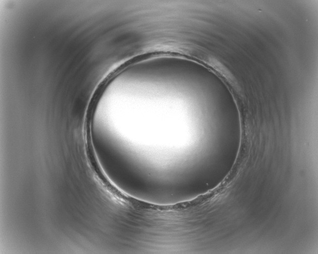 X0000065951028200603101351