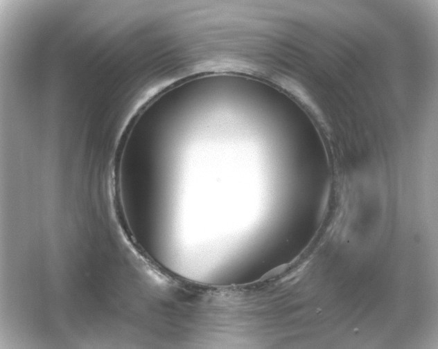 X0000065951040200603101351