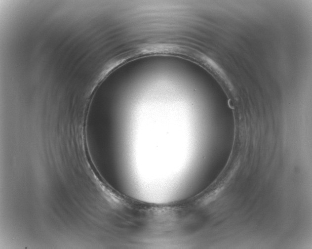X0000065951041200603101351