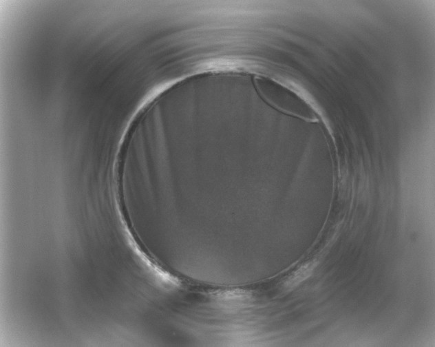X0000065951045200603101351