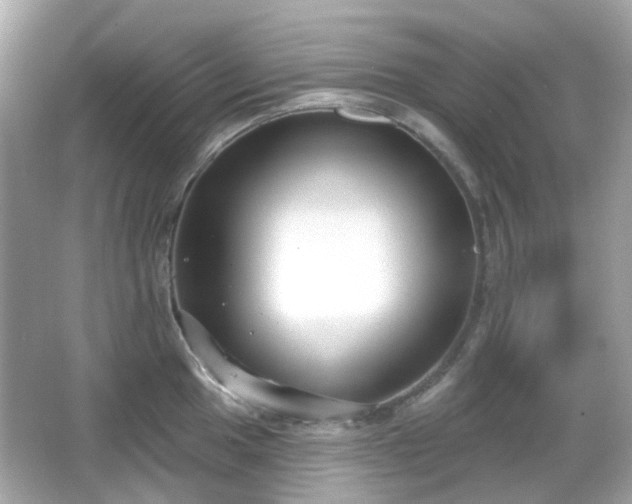 X0000065951049200603101351