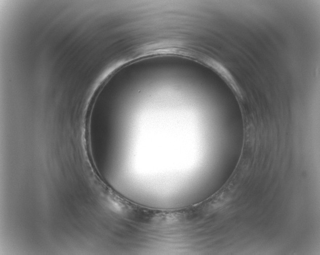 X0000065951051200603101351