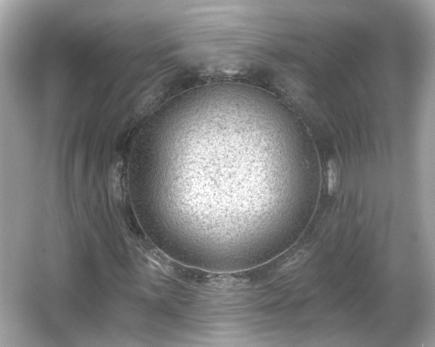 X0000065951059200603101350