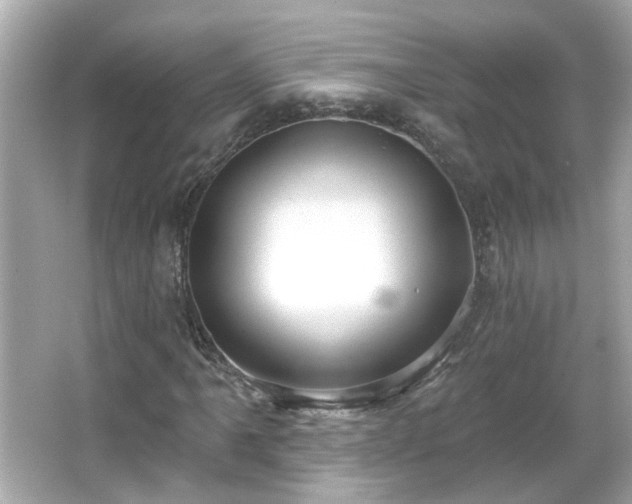 X0000065951061200603101350