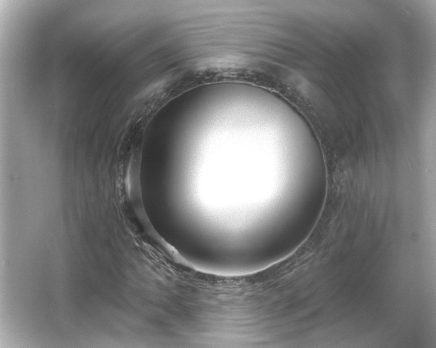 X0000065951062200603101350