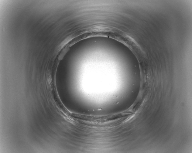 X0000065951065200603101350