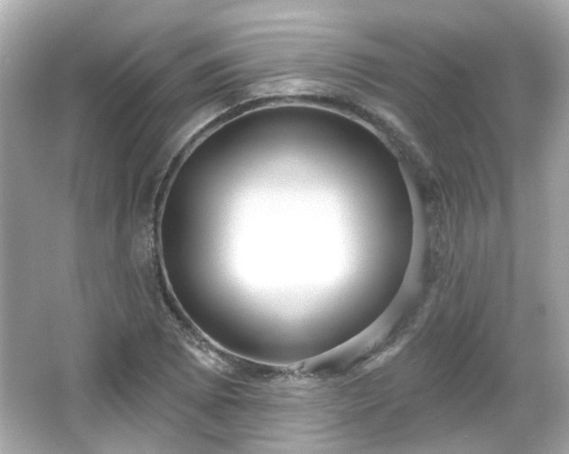 X0000065951073200603101350