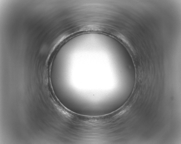 X0000065951075200603101350