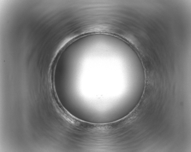 X0000065951078200603101350