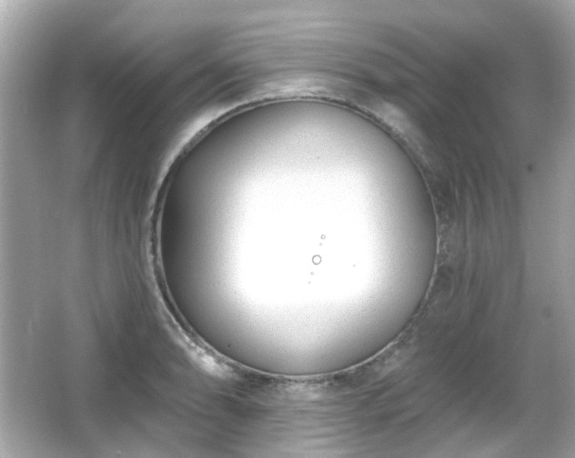 X0000065951086200603101350