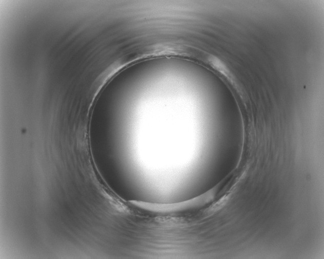X0000065951089200603101350