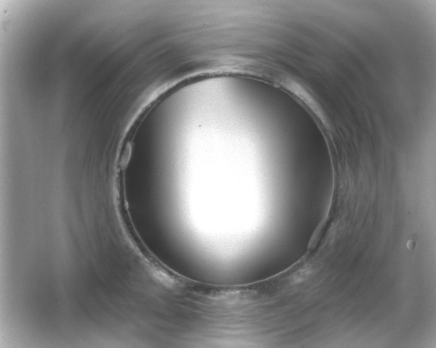 X0000065951093200603101350