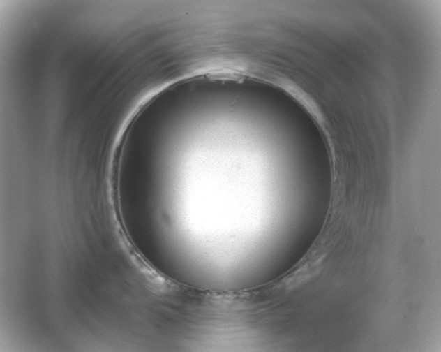 X0000065951104200603101350
