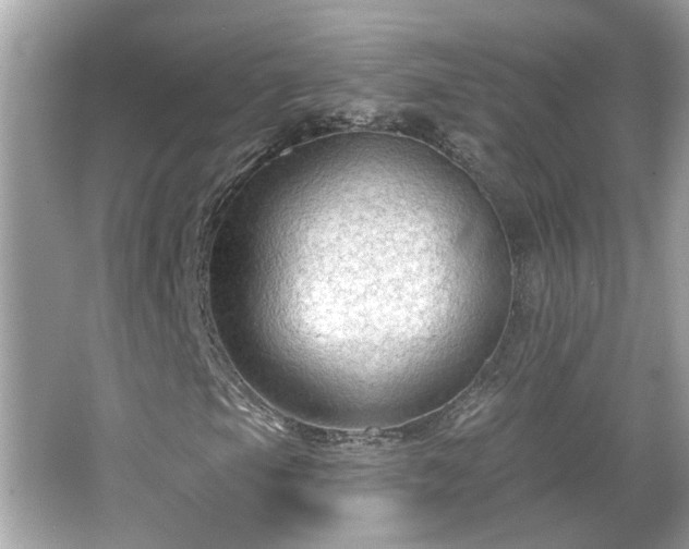 X0000065951105200603101349