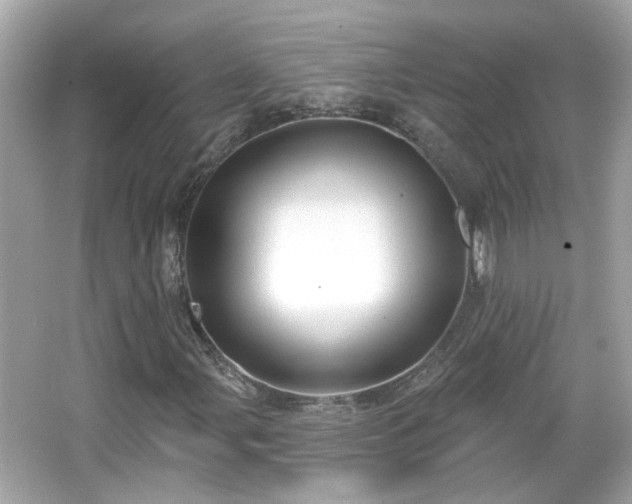 X0000065951107200603101349