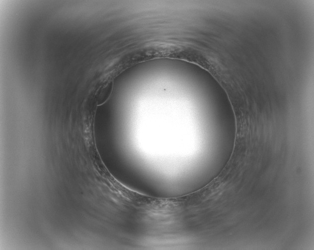 X0000065951109200603101349