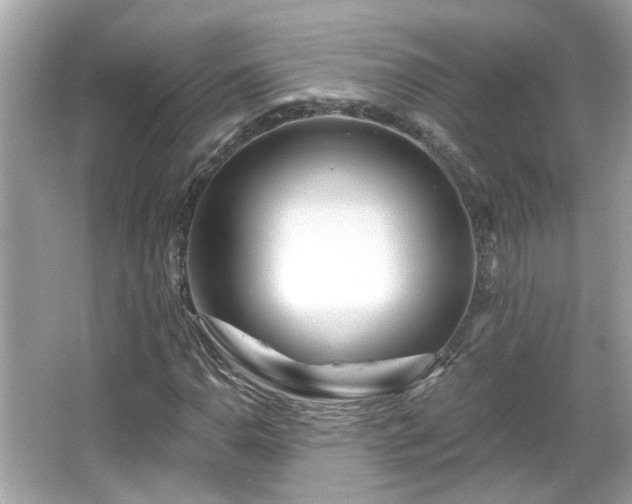 X0000065951110200603101349