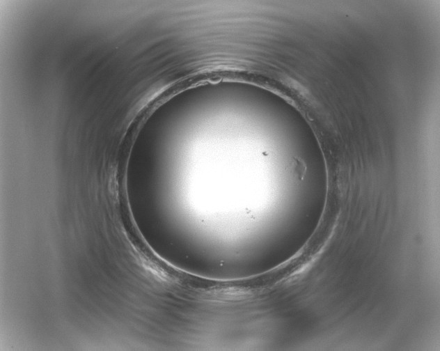 X0000065951113200603101349