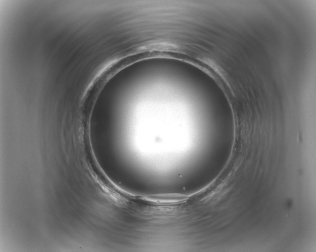 X0000065951115200603101349