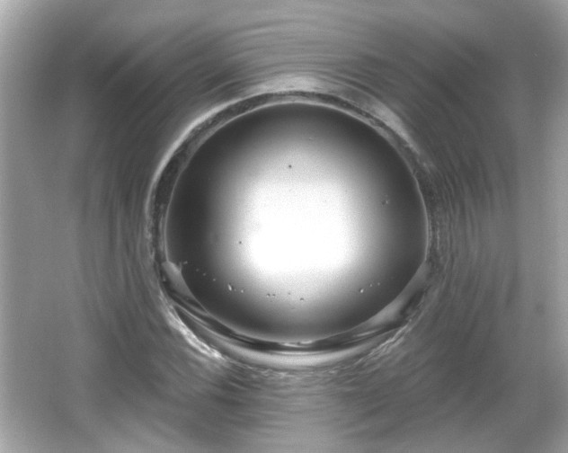 X0000065951116200603101349