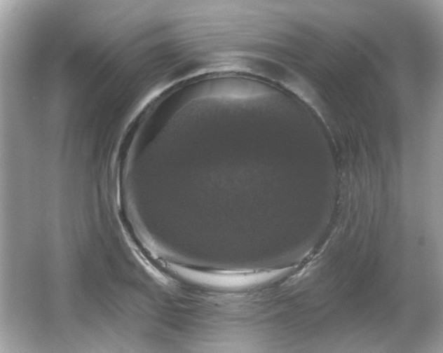 X0000065951127200603101349