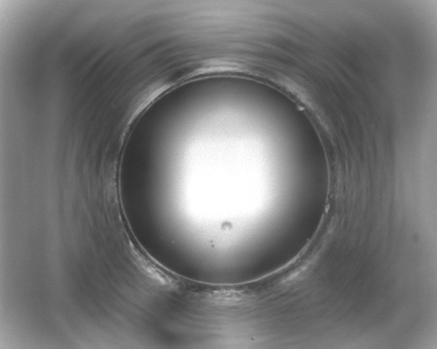 X0000065951137200603101349