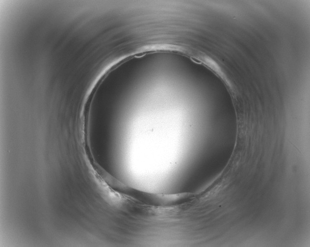 X0000065951140200603101349