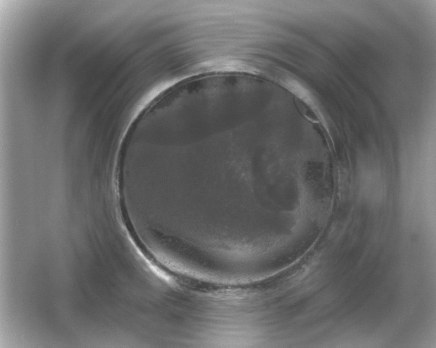 X0000065951141200603101349
