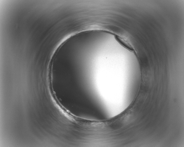 X0000065951142200603101349