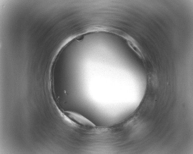 X0000065951143200603101349
