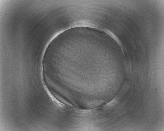 X0000065951144200603101349