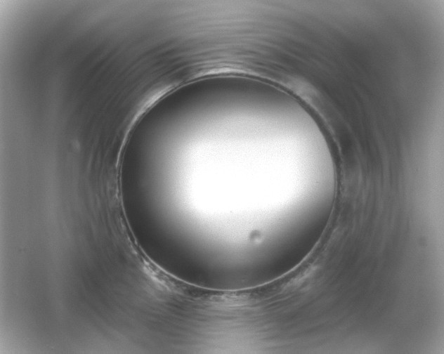 X0000065951145200603101349