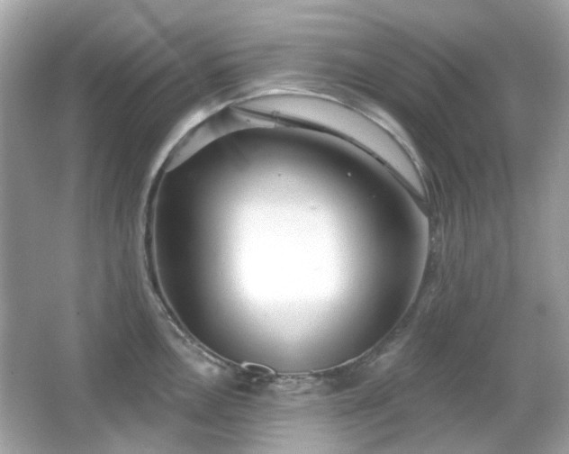 X0000065951146200603101349