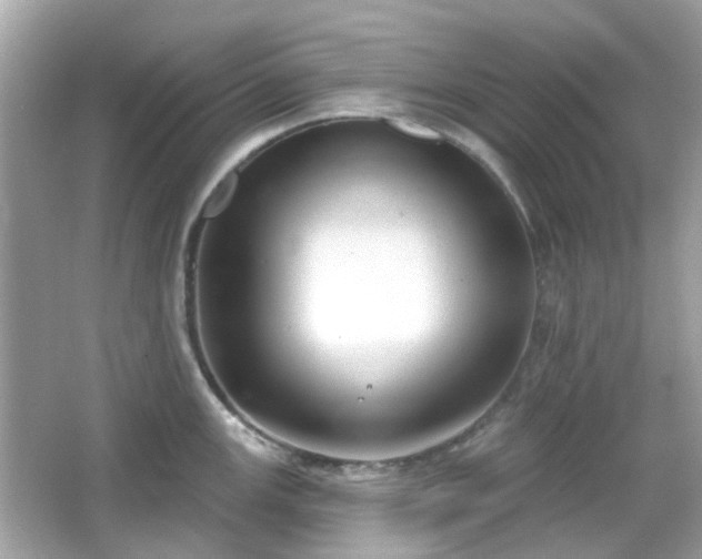 X0000065951147200603101349