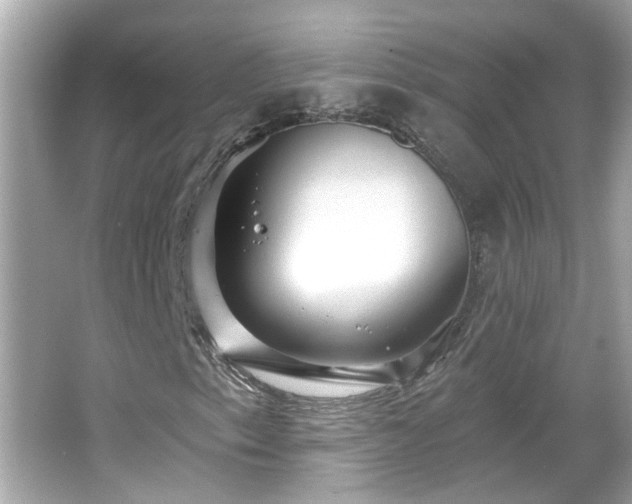 X0000065951153200603101349