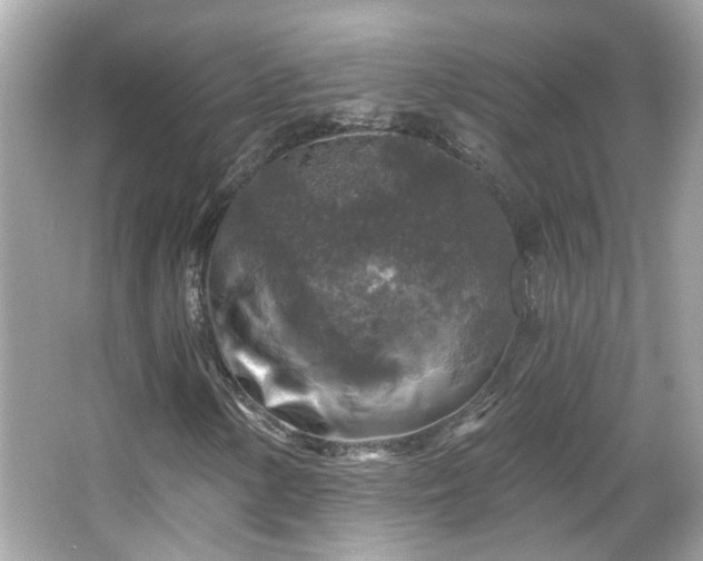 X0000065951154200603101349