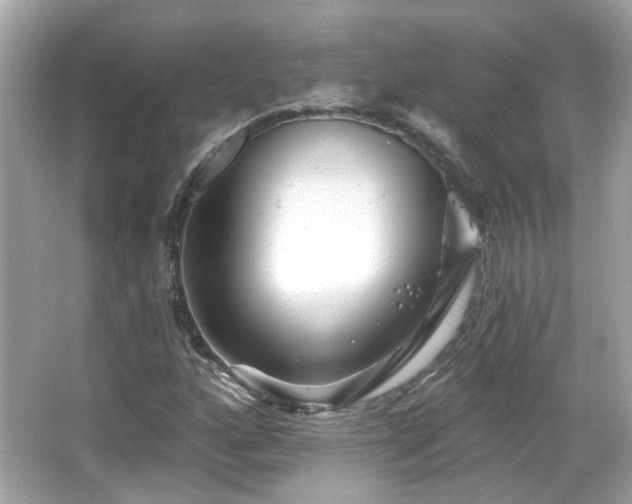 X0000065951160200603101349