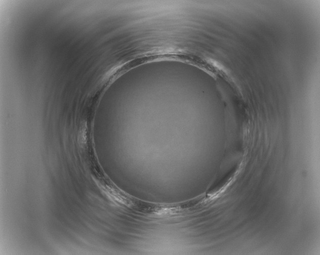 X0000065951161200603101349
