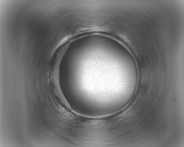 X0000065951163200603101349